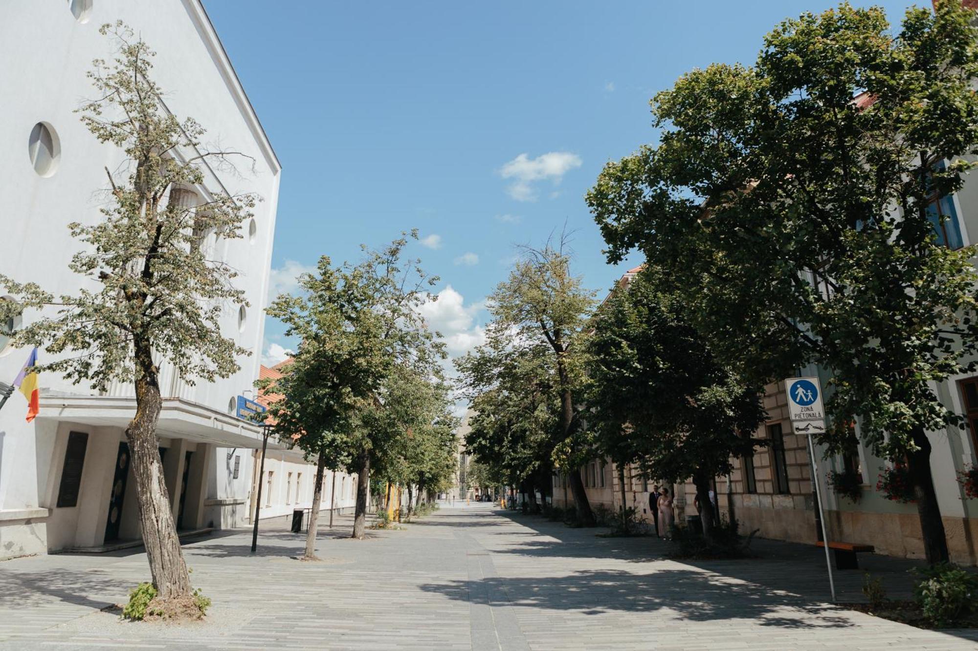 Bethlen Central Studio Cluj-Napoca Exterior foto